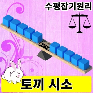 토끼시소 (수평잡기원리)-EVA 추 10개 증정KSCI-3305 힘의평형판 목제 수평잡기의 원리 교과서과학. 집콕 만들기키트 과학교구