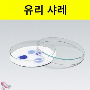 샬레 유리 패트리접시KSCI-0117 유리실험기구 유리샤레. 집콕 만들기키트 과학교구