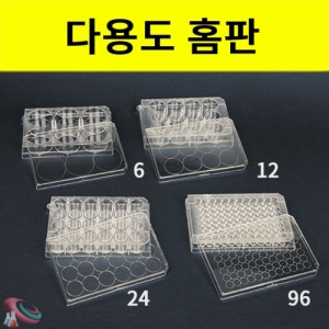 실험용 다용도홈판 (Well Plate)KSCI-0188 집콕 만들기키트 과학교구