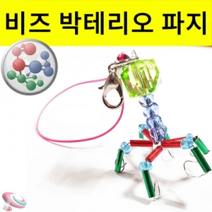 생물교구 박테리오 파지 만들기 10인용KSCI-6781 비즈로 만들어보는 바이러스 박테리오 파지모형 만들기 세트. 집콕 만들기키트 과학교구