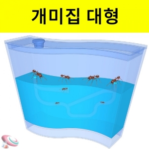 3차원 개미집 대형 개미터널 관찰하기KSCI-6956sb 개미집만들기 개미키우기 개미굴 대형 젤형태관찰통. 집콕 만들기키트 과학교구