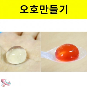 오호만들기 물병 물주머니 만들기 5인용KSCI-7932 물병 오호만들기 세트. 집콕 만들기키트 과학교구