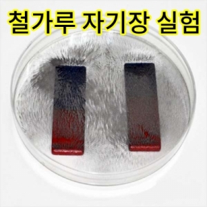 철가루 자기장 실험 - 5인용KSCI-7937 집콕 만들기키트 과학교구