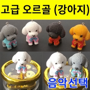 원형 오르골 세트 (강아지) - 음악 5곡 중 선택KSCI-8114be 집콕 만들기키트 과학교구