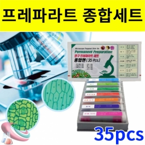 프레파라트 종합세트 35pcs 세포 줄기 야채 곤충 조직KSIC-8173u 다양한 프레파라트 모음 종합세트 35pcs 곤충 야채 조직 관찰가능. 집콕 만들기키트 과학교구