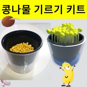 콩나물 기르기 키트 집에서 키우기 세트-1인용 (대형)KSCI-8237 콩나물 기르기 키트 시루와 물받침으로 식물의 생장학습 햇빛 차단용 검정천포함 개별포장. 집콕 만들기키트 과학교구