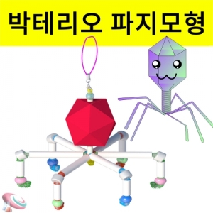 박테리오파지만들기 5인용 모형 과학교구 조립키트KSCI-8266 박테리오파지 모형만들기 키트 대형 열쇠고리 생물 과학교구. 집콕 만들기키트 과학교구