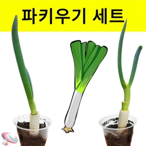 파키우기 세트 대파뿌리로 기르기 파테크-5인용KSCI-8279 집에서 파뿌리를 이용한 대파키우키 키트 세트 식물의 생장과정 학습. 집콕 만들기키트 과학교구