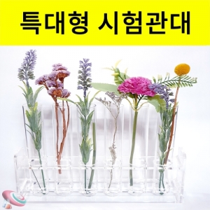 유리시험관세트 아크릴시험관대 투명시험관대 플랜테리어 특대형KSCI-8297 아크릴시험관대와 유리 시험관 특대형 인테리어 투명시험관대 플랜테리어. 집콕 만들기키트 과학교구