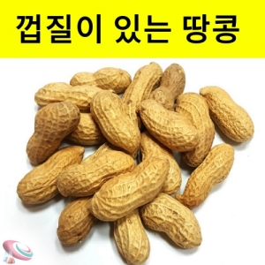 땅콩관찰 피땅콩 500g 교과서과학실험KSCI-8413 땅콩관찰 피땅콩 3학년 교과서과학 학습세트. 집콕 만들기키트 과학교구