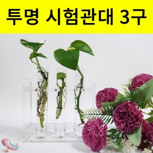 유리시험관 아크릴시험관대 3구 투명시험관대 플랜테리어KSCI-8572 아크릴 시험관대 유리시험관 인테리어 투명시험관대 플랜테리어. 집콕 만들기키트 과학교구