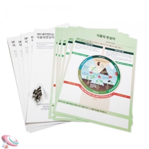 식물의한살이 강낭콩 한살이 교과서과학실험 5인용KSCI-8634 식물의 한살이 강낭콩 교과서과학 학습세트. 집콕 만들기키트 과학교구