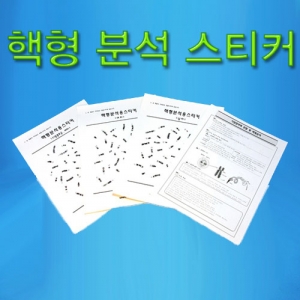 핵형 맞추기 염색체 스티커 (3종 세트)KSCI-5149 핵형 분석 스티커 3종세트 남자 여자 다운증후군 염색체 스티커. 집콕 만들기키트 과학교구