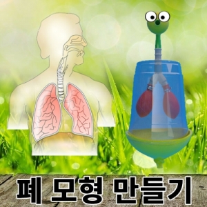 new 폐모형만들기키트 10인용KSCI-7755 폐모형만들기 호흡시 폐모형의 변화를 학습한다. 집콕 만들기키트 과학교구