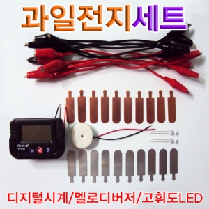 과일전지만들기 세트 10인용 영재실험과학키트KSCI-5686ec 영재실험과학키트 과일전지만들기재료. 집콕 만들기키트 과학교구